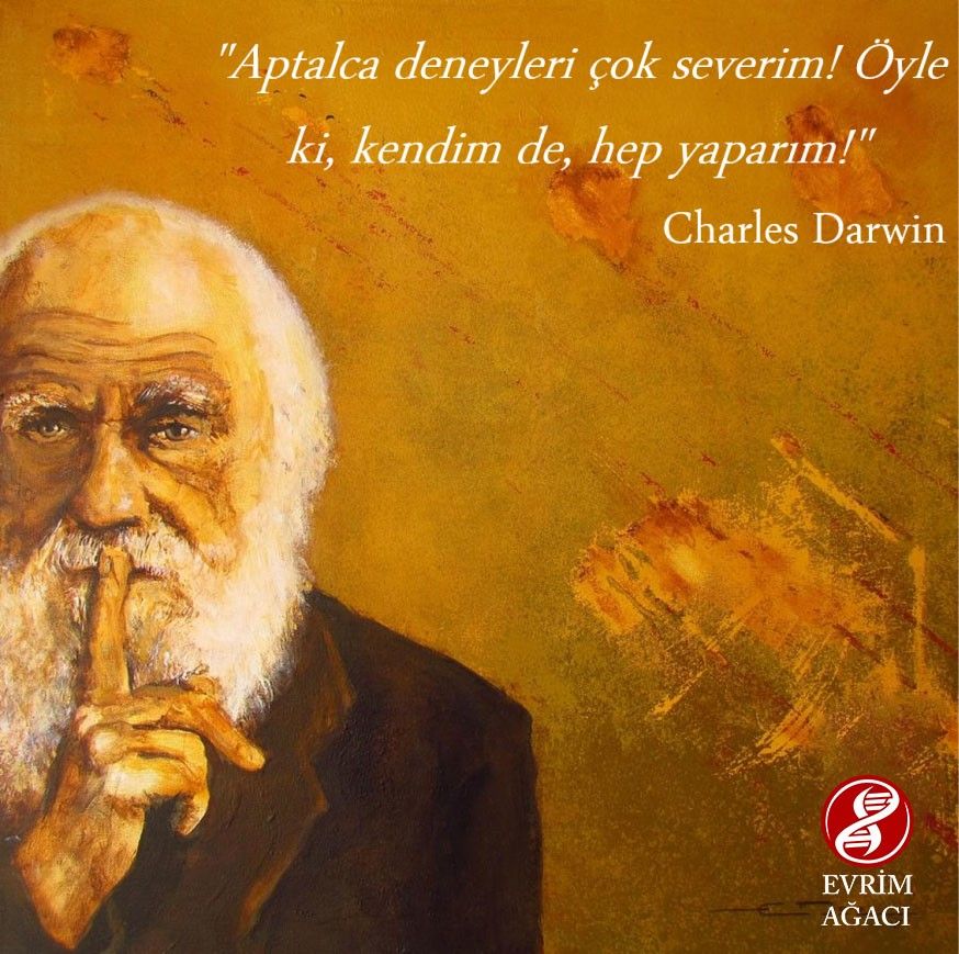 Evrimsel Bir Biyografi Charles Robert Darwin in Hayatı ve Evrim