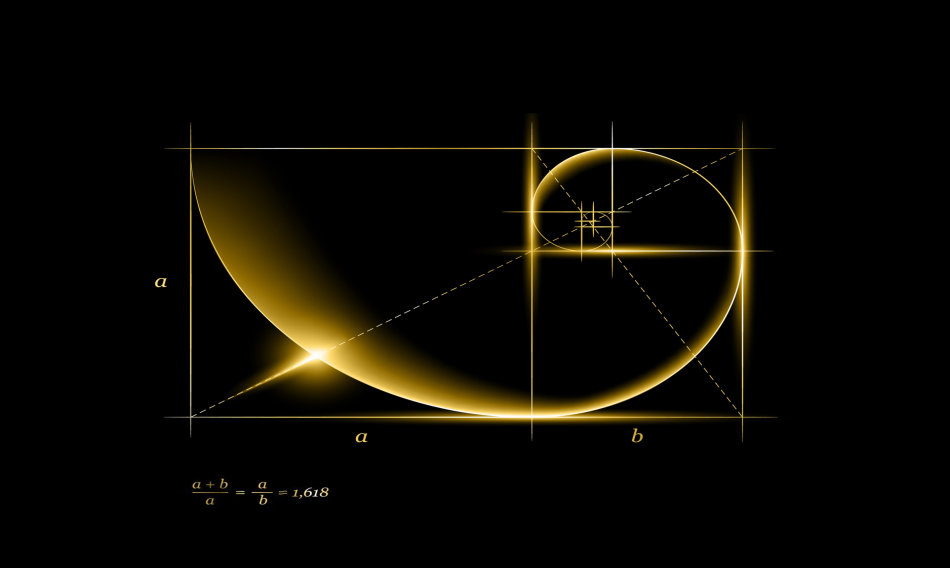 Fibonacci Sayıları Nedir? - Evrim Ağacı