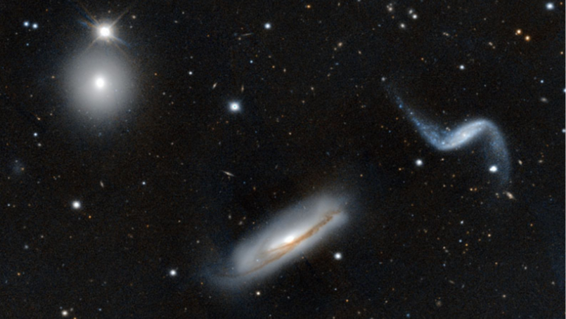 NGC 3190 Galaksi Grubu - Evrim Ağacı