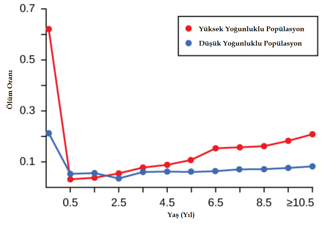 Poplasyon Art ve Reglasyonu: Canllarn Nfusu Nasl Kontrol ...