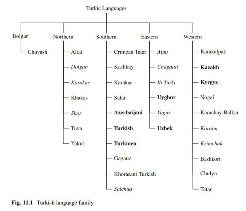 Türklerin Tarih Boyunca Kullandığı Alfabeler - Evrim Ağacı