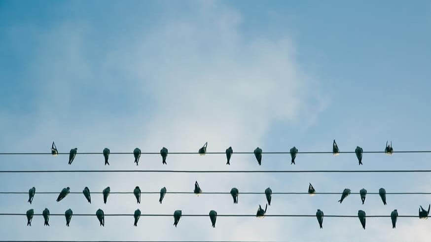 |TR| Belgesel Suru Psikolojisi Dogru Olani Yap