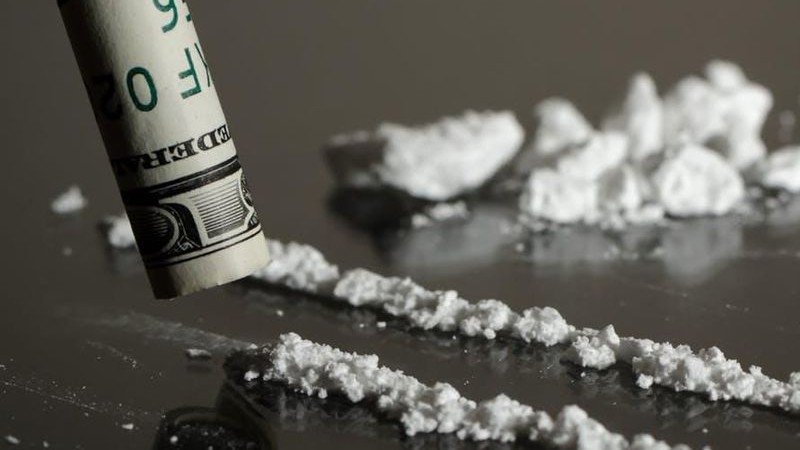 Kokain Nedir? Kokainin Kökeni ve Etkileri Nelerdir? - Evrim Ağacı