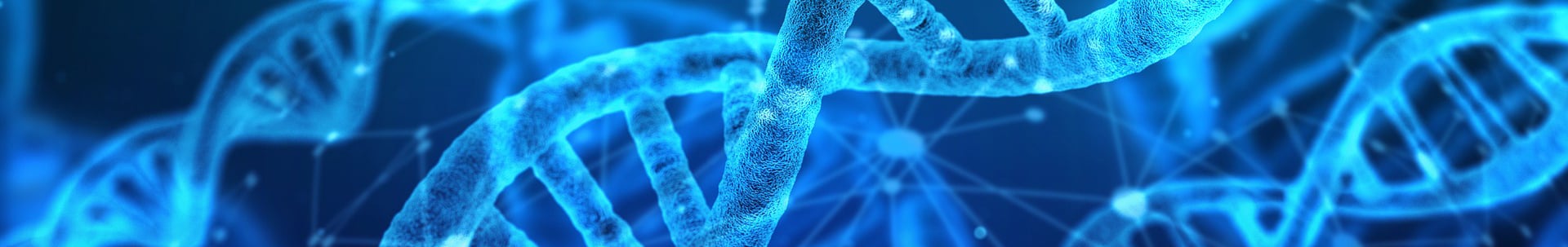 Mendel Genetiği ve Kalıtım Örüntüleri