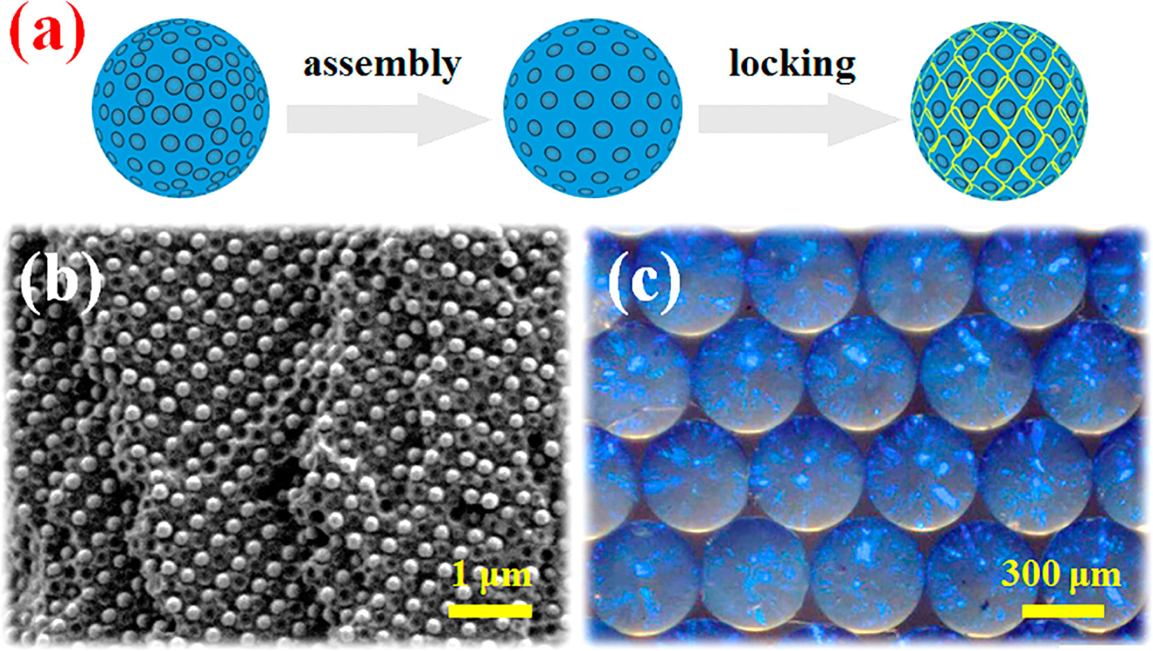 Shaped light waves penetrate further into photonic crystals