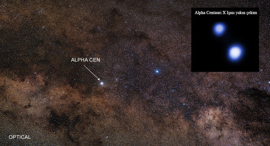 Alpha Centauri Nedir Evrim Ağacı