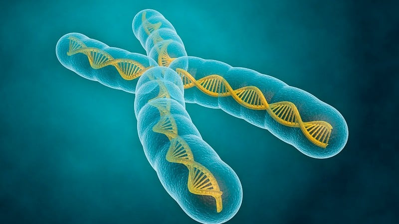 Yalangoch qora ayol fon rasmi